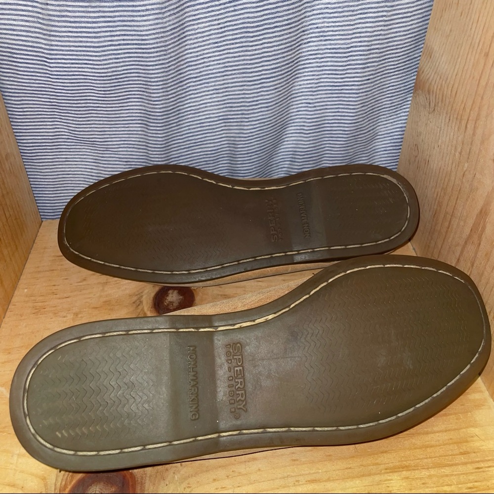 Sperry Topsider - Picture 7 of 8